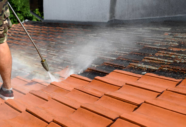 Best Pressure Washing Company Near Me  in Lake City, SC
