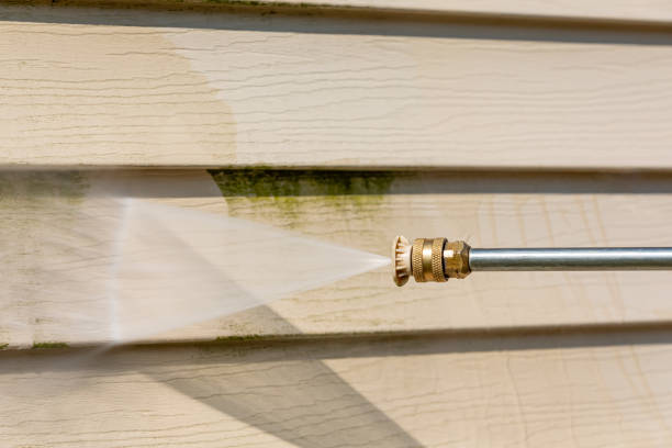 Best Roof Pressure Washing  in Lake City, SC